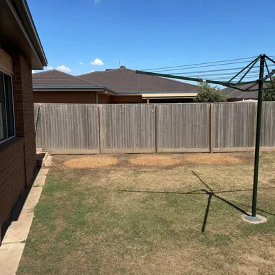 After: Jacaranda removed from a paved courtyard, Parramatta