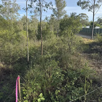 Before: Block cleared for an infill development, Parramatta