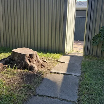 Before: Stump ground through an 800mm gate, Parramatta