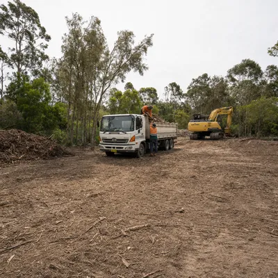 Land Clearing in Parramatta, qualified arborists