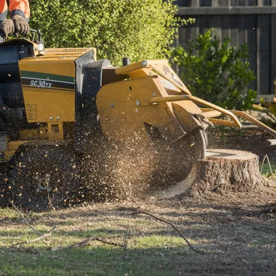 Stump Grinding Parramatta