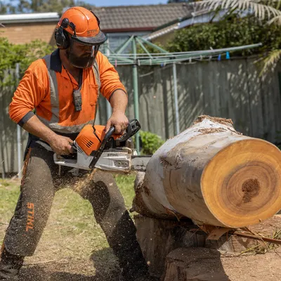 Tree Removal Parramatta
