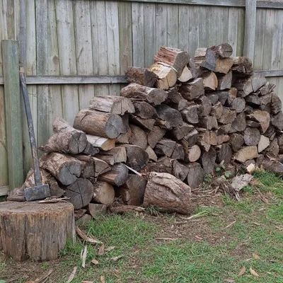Logs cut and stacked for firewood, Parramatta