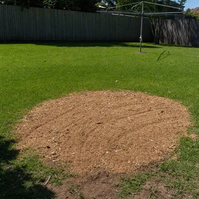 Chips and mulch on site, Parramatta