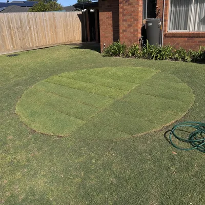Stump ground 150–300mm below grade, Parramatta